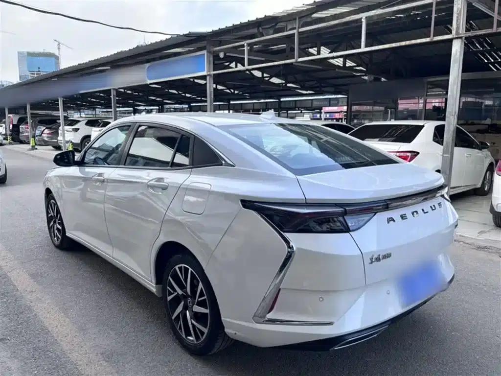 Aeolus Yixuan 2020 230T Automatic Dazzling Edition — миниатюра 10
