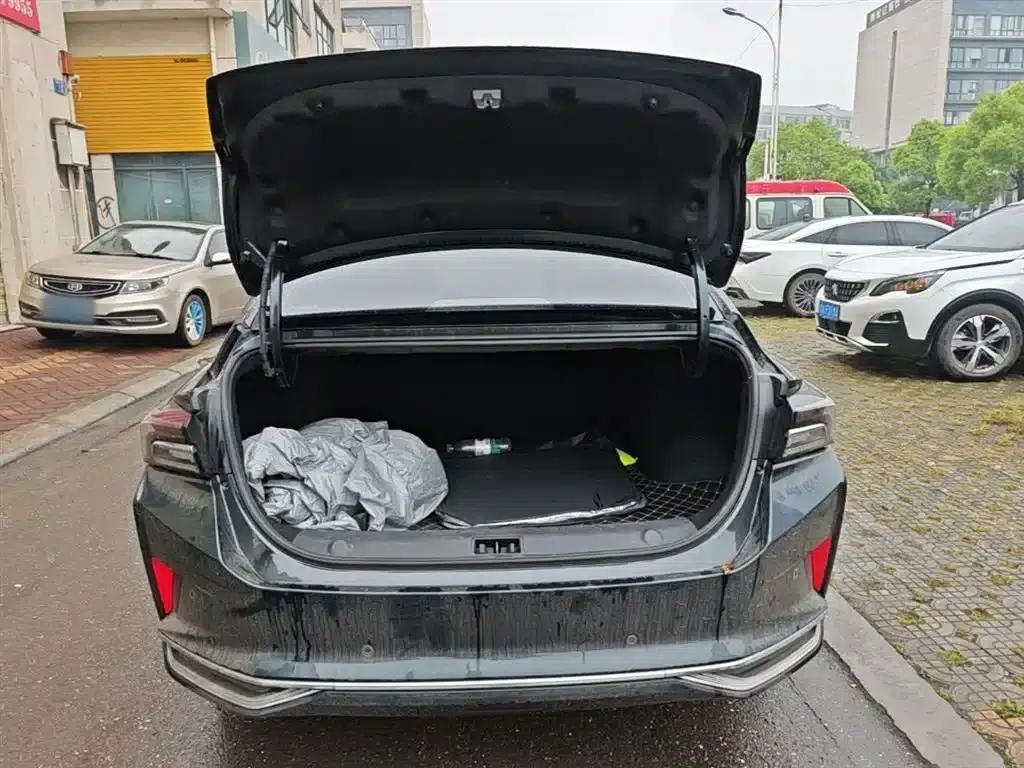 Aeolus Aeolus MAX 2023 1.5T Super Dad Edition — миниатюра 18