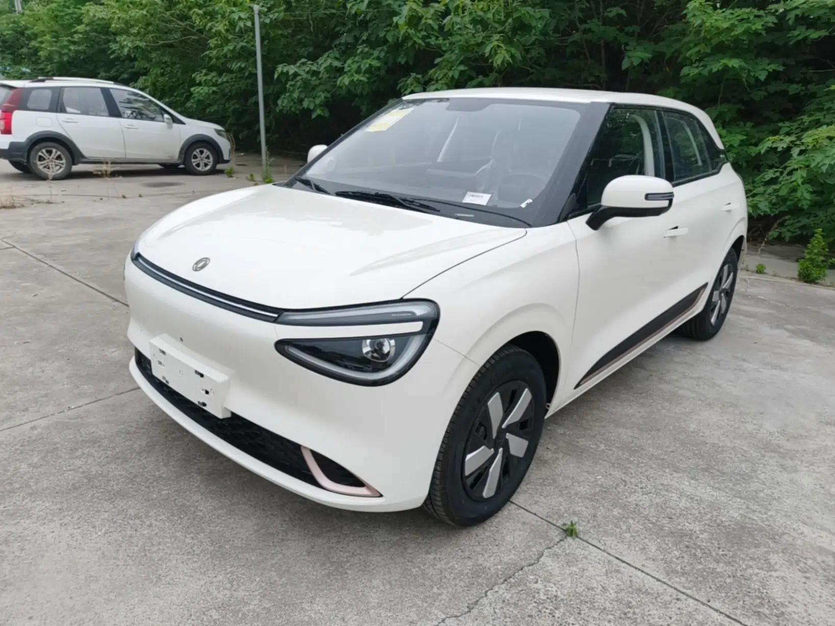 Dongfeng NAMMI 01 2026 Model Beloved Edition 330 Pro — миниатюра 1