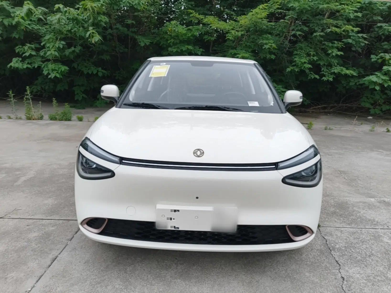 Dongfeng NAMMI 01 2026 Model Beloved Edition 330 Pro — миниатюра 2