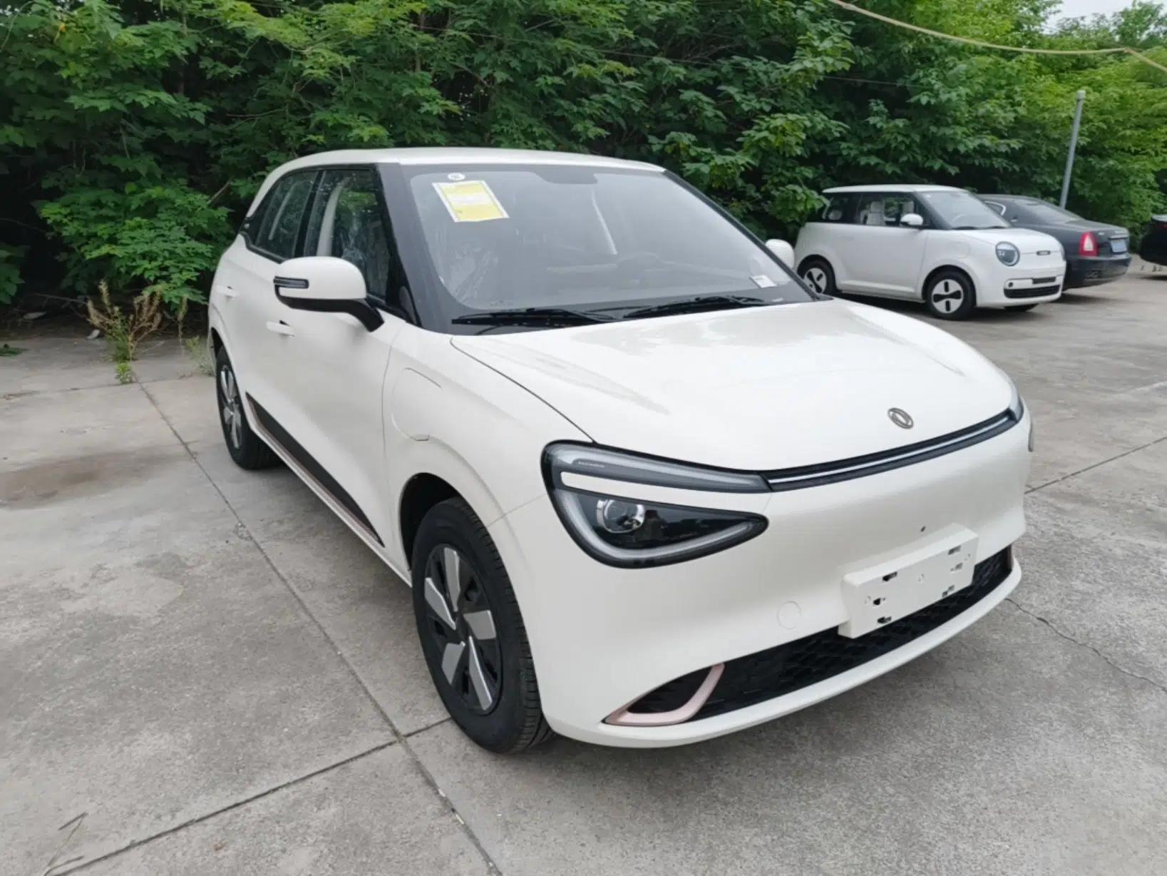 Dongfeng NAMMI 01 2026 Model Beloved Edition 330 Pro — миниатюра 3
