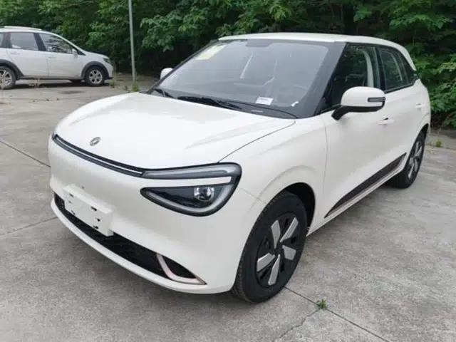 Dongfeng NAMMI 01 2026 Model Beloved Edition 330 Pro