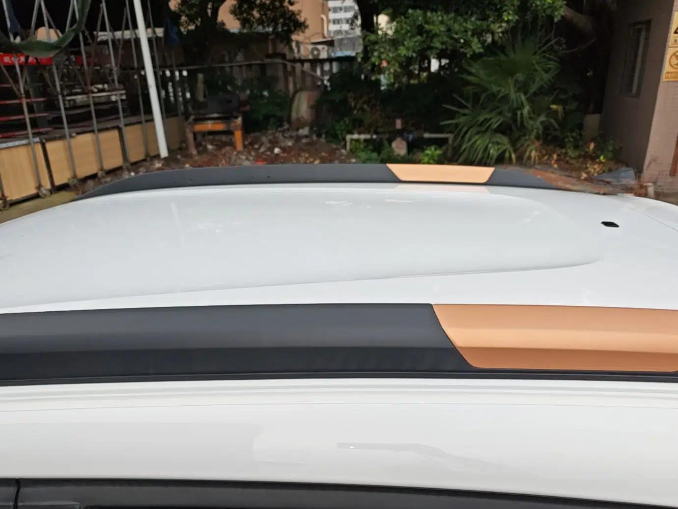 Dongfeng NAMMI EX1 2023 PRO Light Wind Edition Lightning Model — миниатюра 11