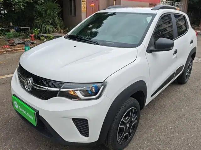 Dongfeng NAMMI EX1 2023 PRO Light Wind Edition Lightning Model