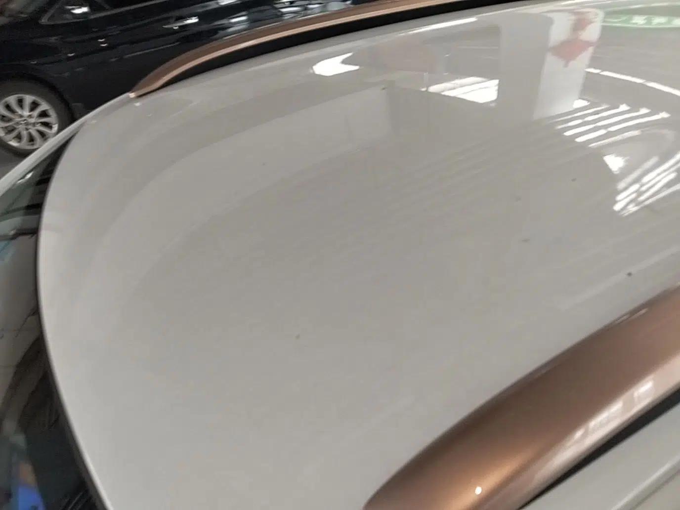 Dongfeng NAMMI BOX 2022 Chasing Wind Edition 351 km Advanced Model — миниатюра 11