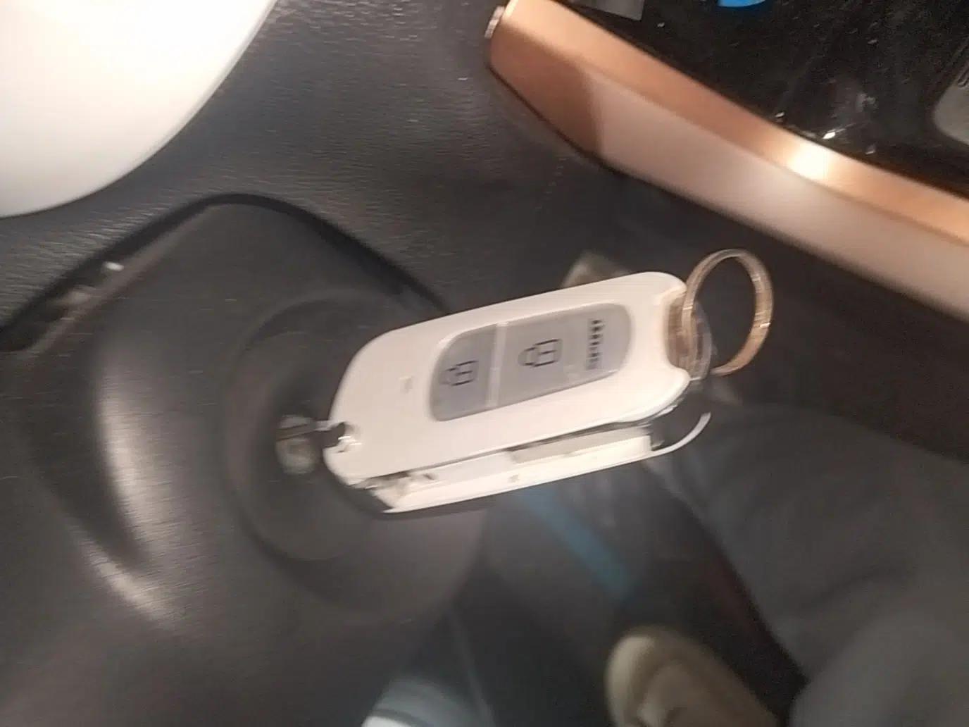Dongfeng NAMMI BOX 2022 Chasing Wind Edition 351 km Advanced Model — миниатюра 22
