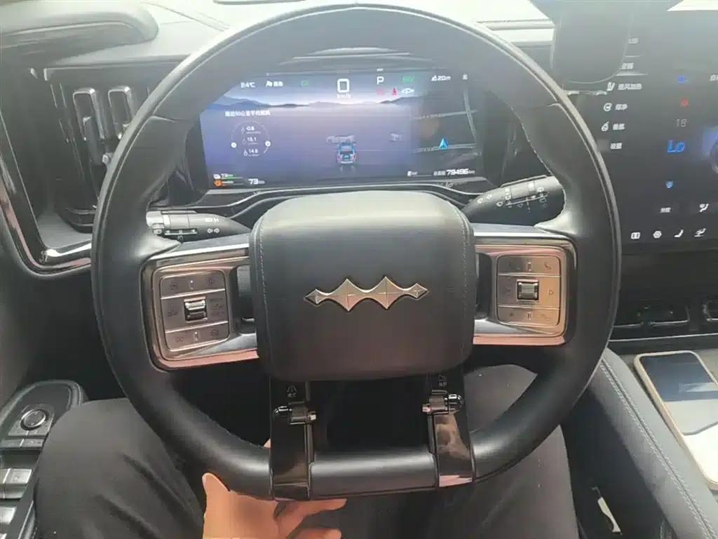 Leopard 5 2023 Yunlian Flagship Edition — миниатюра 11