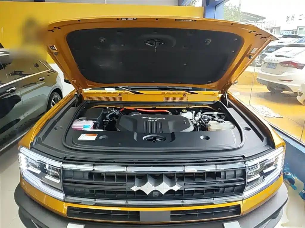 Leopard 5 2023 Navigator Edition — миниатюра 20