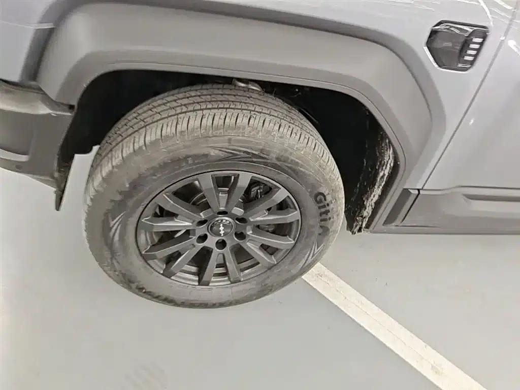 Leopard 5 2023 Navigator Edition — миниатюра 23