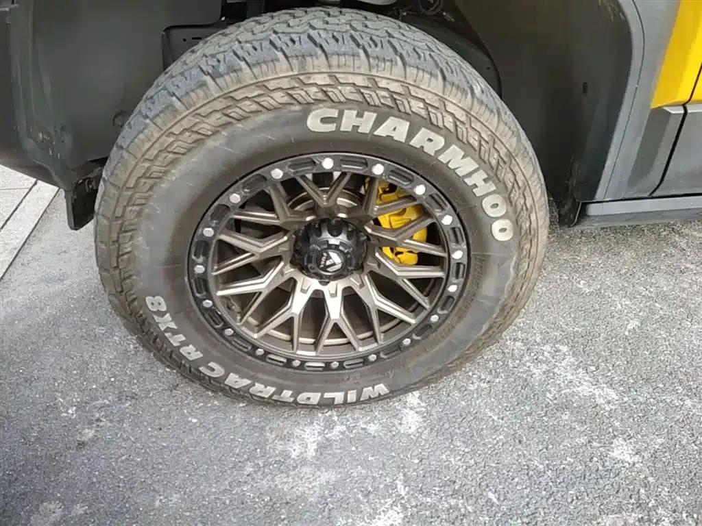 Leopard 5 2023 Navigator Edition — миниатюра 22