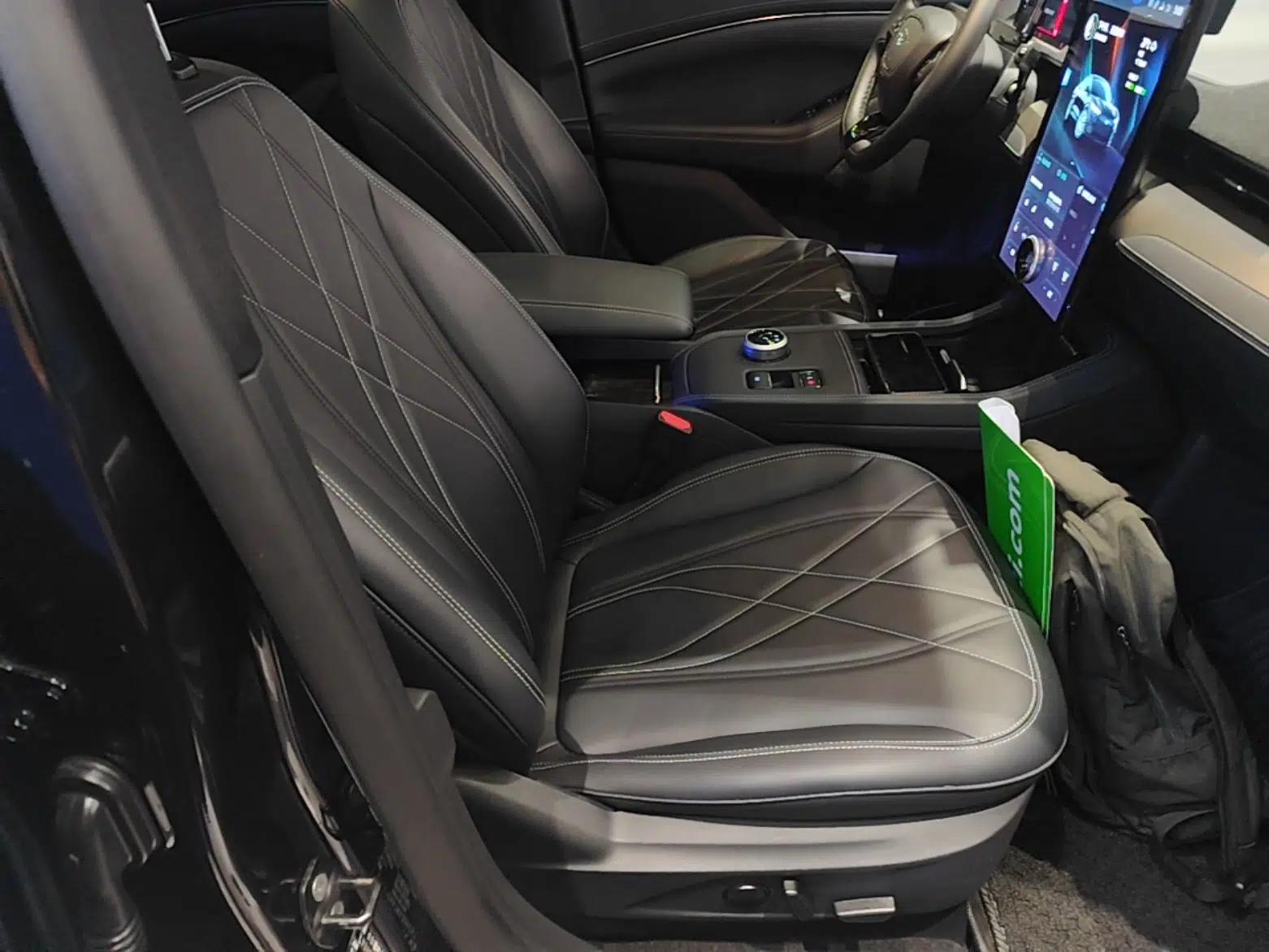 Ford Mustang Mach-E 2021 Leap Edition Rear-Drive Version (Standard Range) — миниатюра 38