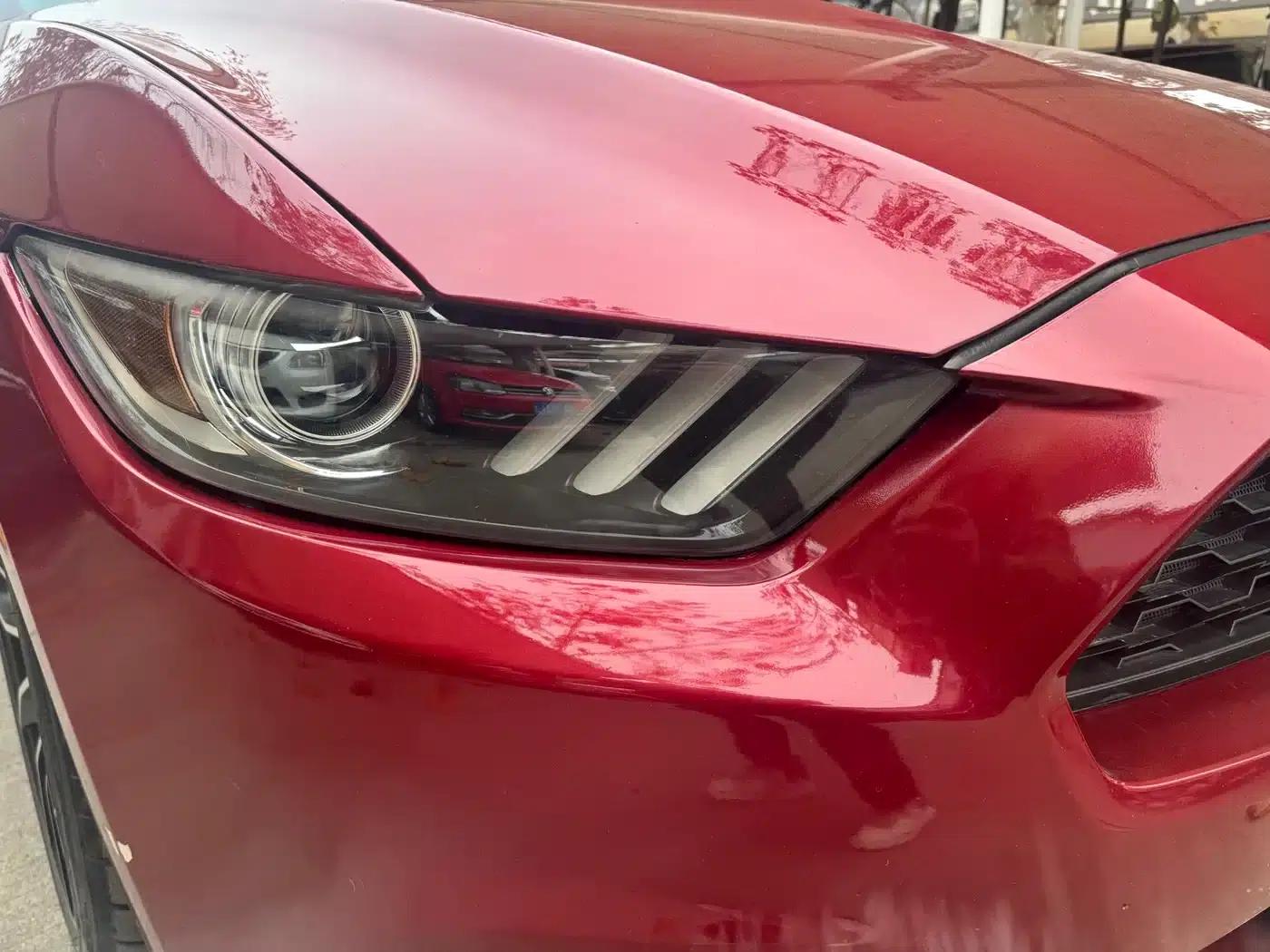 2016 Mustang 2.3T Performance Edition — миниатюра 4