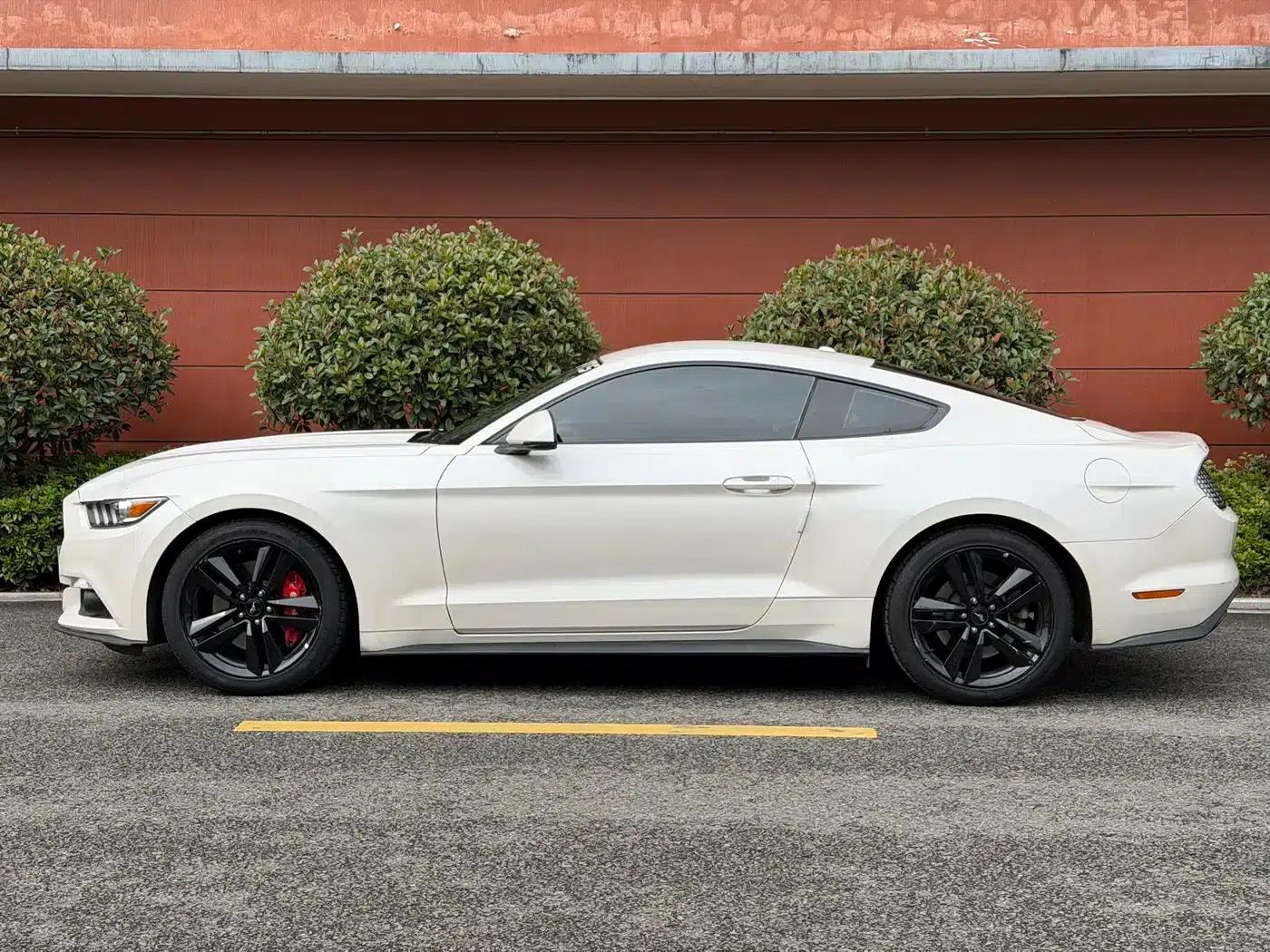 2017 Mustang 2.3T Performance Edition — миниатюра 11