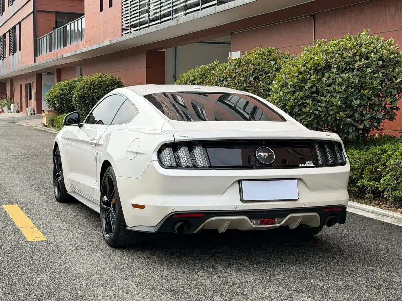 2017 Mustang 2.3T Performance Edition — миниатюра 12
