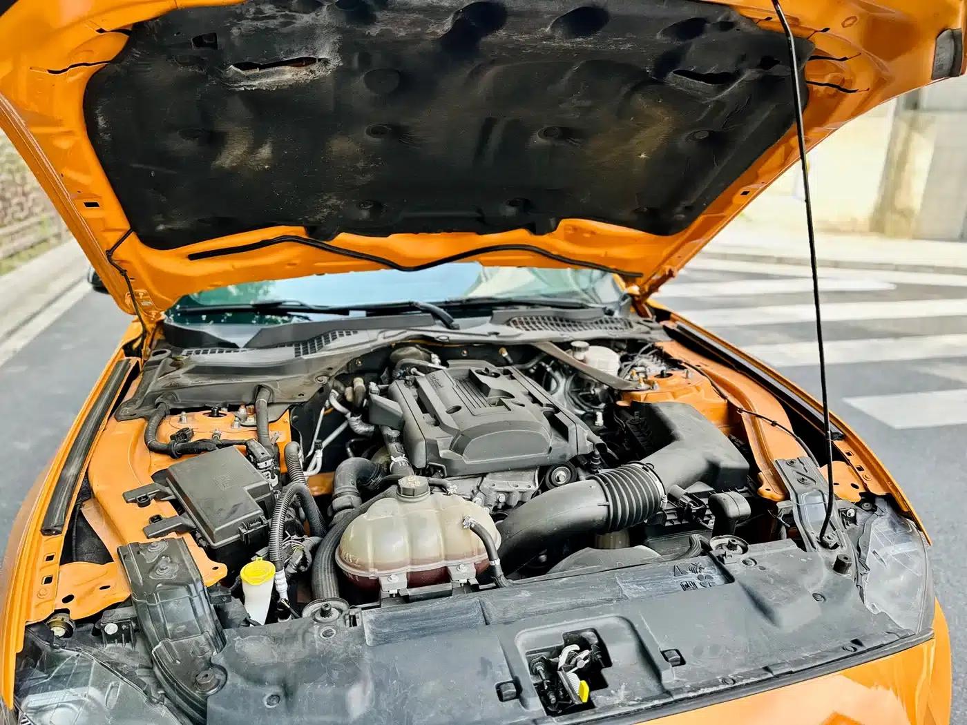 2019 Mustang 2.3L EcoBoost — миниатюра 11