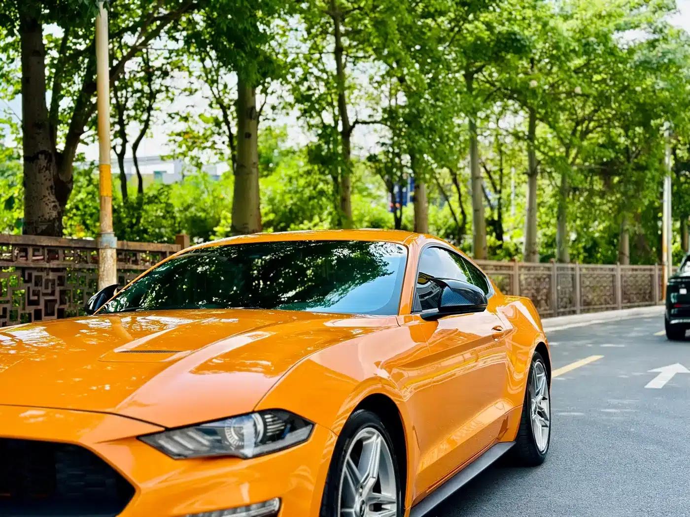 2019 Mustang 2.3L EcoBoost — миниатюра 8
