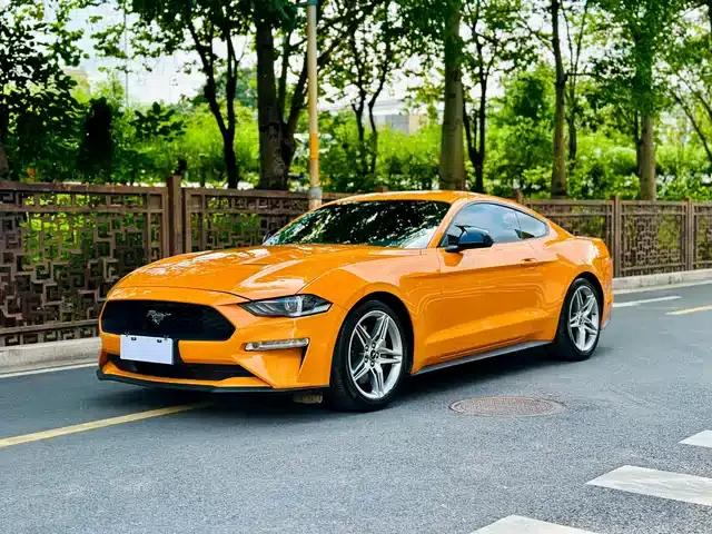 2019 Mustang 2.3L EcoBoost