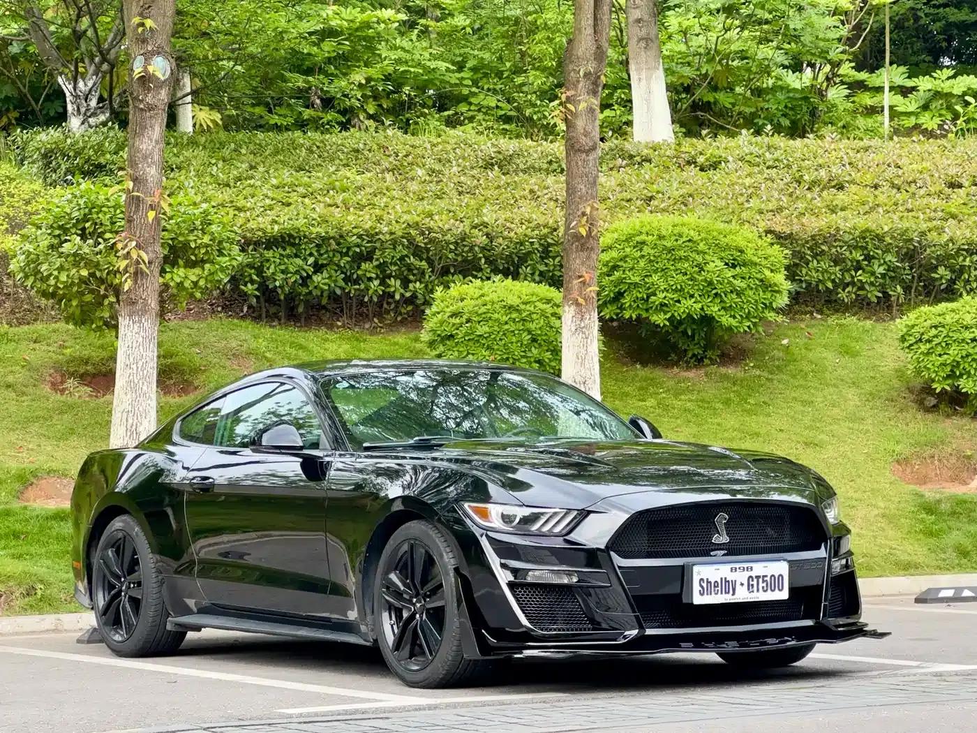 2016 Mustang 2.3T Performance Edition — миниатюра 3