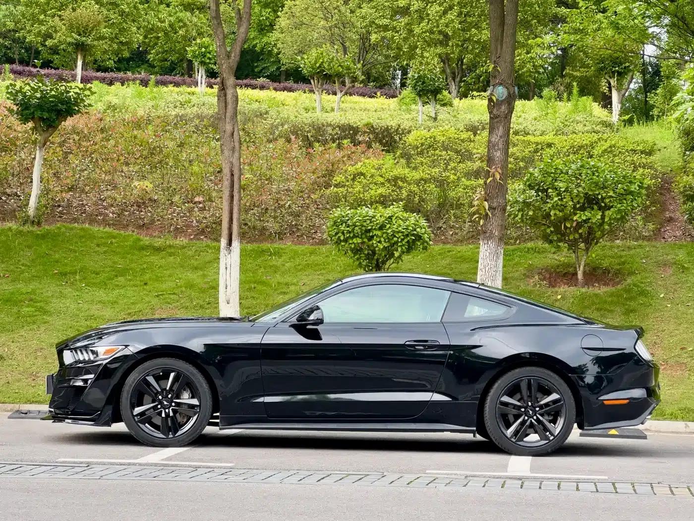 2016 Mustang 2.3T Performance Edition — миниатюра 5