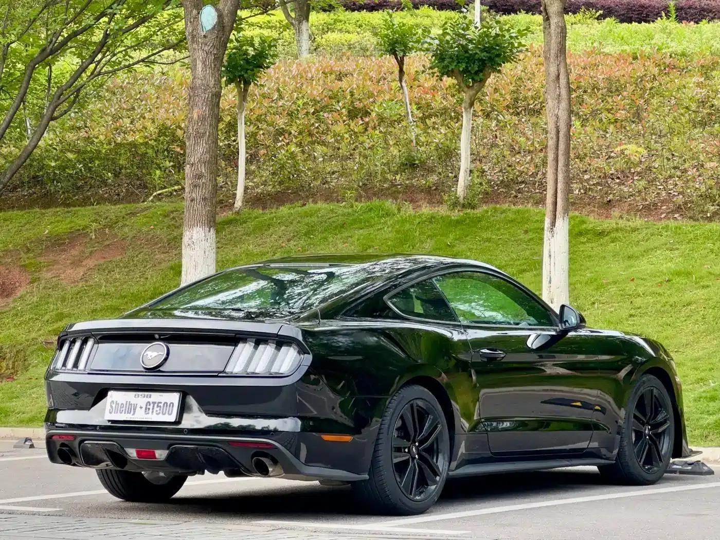 2016 Mustang 2.3T Performance Edition — миниатюра 7