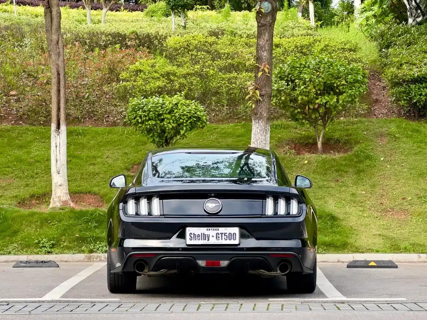 2016 Mustang 2.3T Performance Edition — миниатюра 8