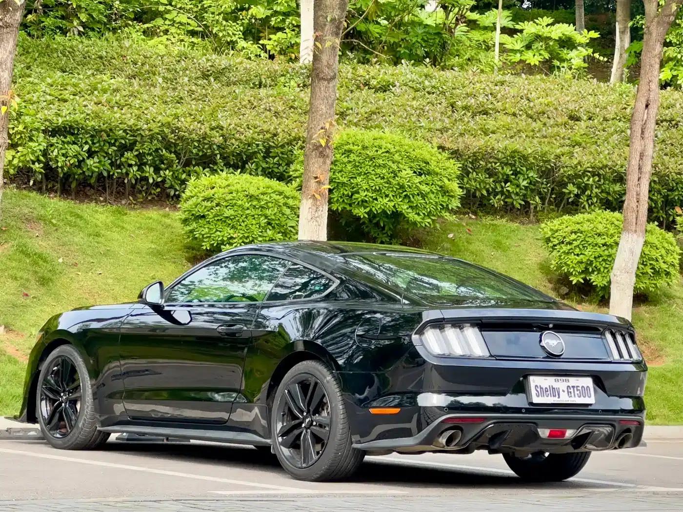 2016 Mustang 2.3T Performance Edition — миниатюра 9