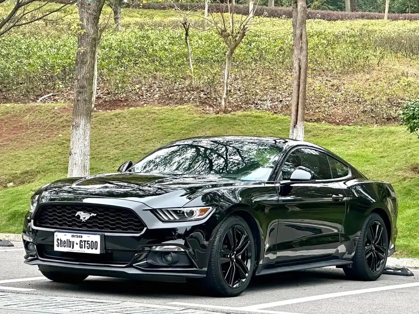 2017 Mustang 2.3T Performance Edition — миниатюра 1