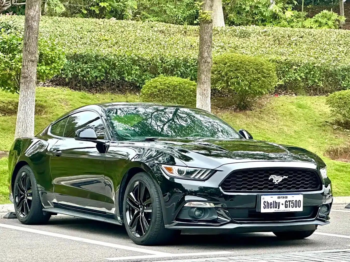 2017 Mustang 2.3T Performance Edition — миниатюра 3