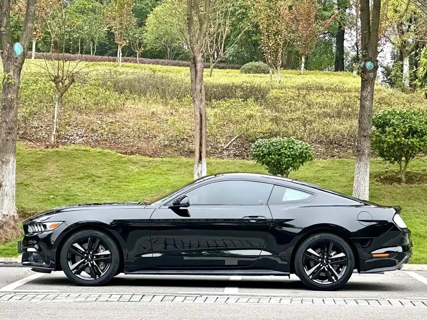 2017 Mustang 2.3T Performance Edition — миниатюра 5