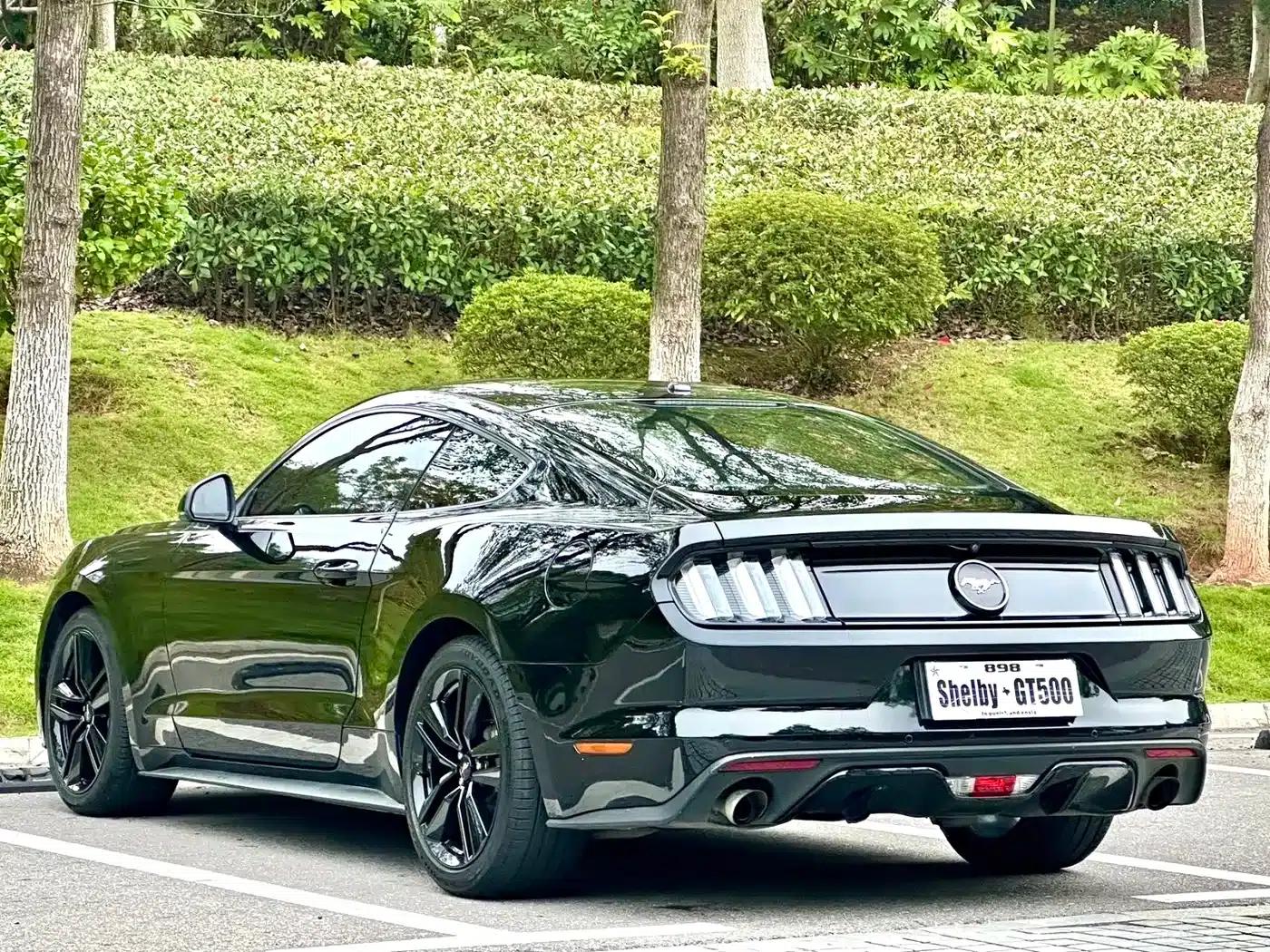 2017 Mustang 2.3T Performance Edition — миниатюра 9