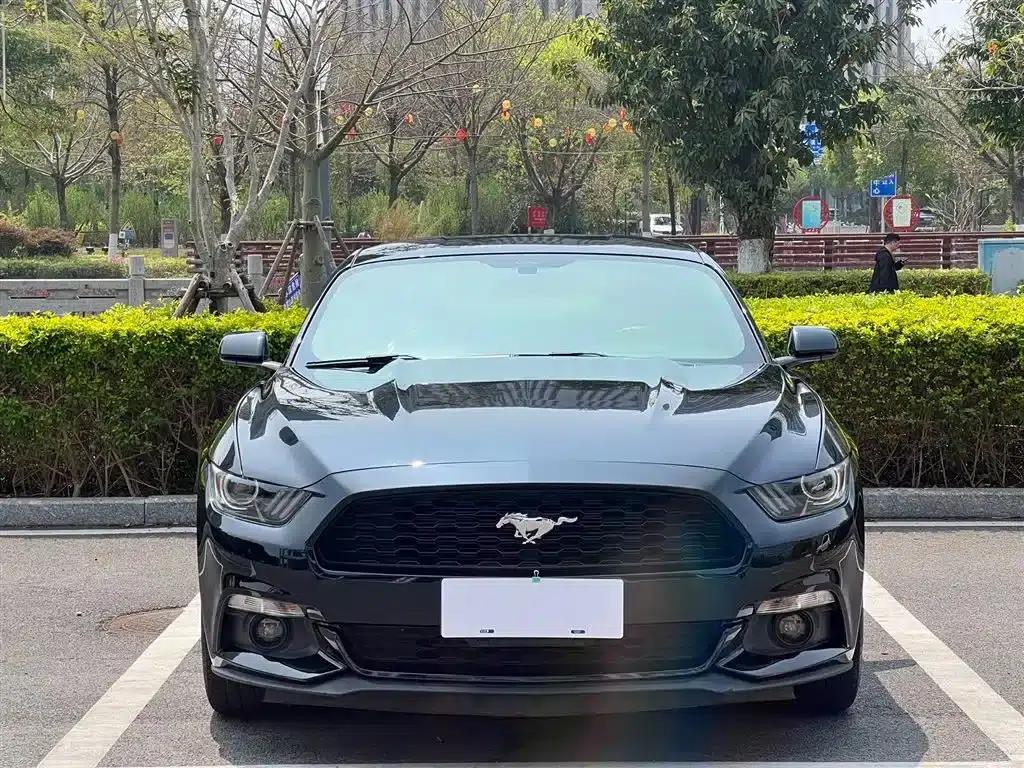 2015 Mustang 2.3T 50th Anniversary Edition — миниатюра 2