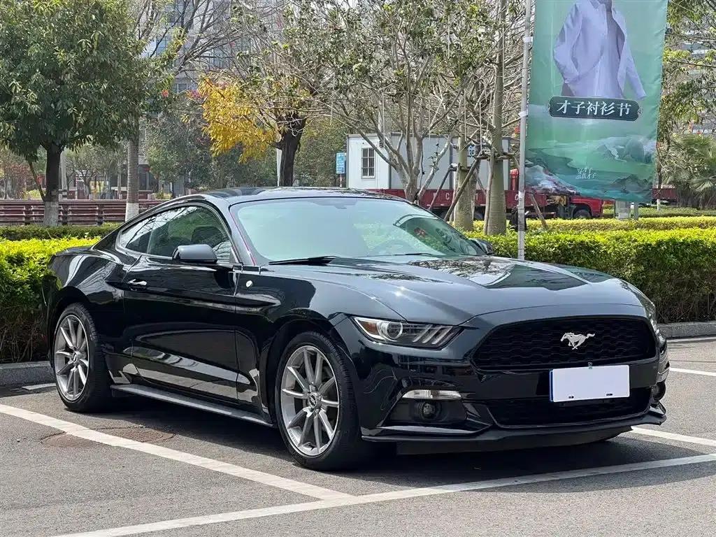 2015 Mustang 2.3T 50th Anniversary Edition — миниатюра 3