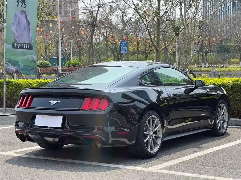 2015 Mustang 2.3T 50th Anniversary Edition — миниатюра 7