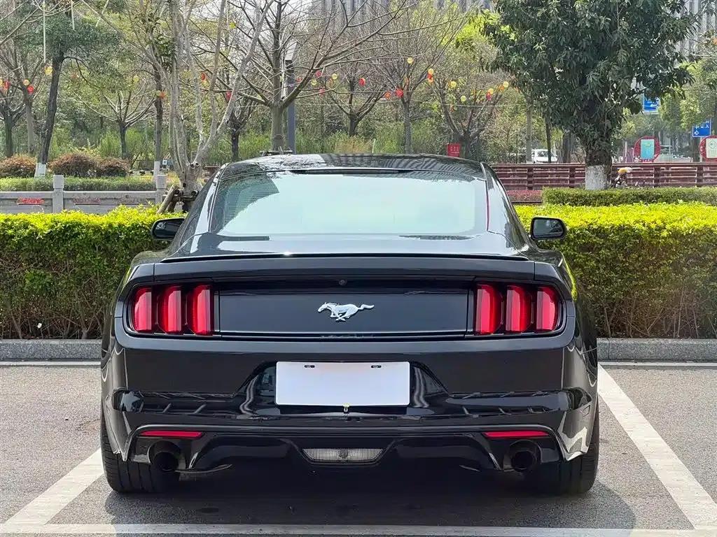 2015 Mustang 2.3T 50th Anniversary Edition — миниатюра 8