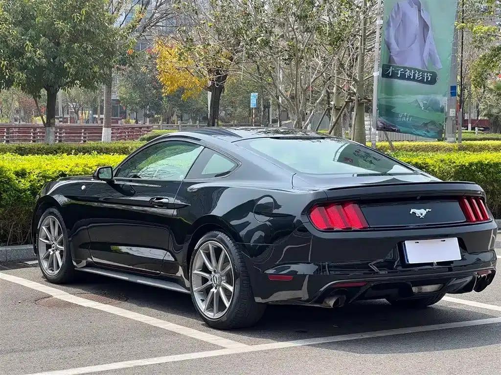 2015 Mustang 2.3T 50th Anniversary Edition — миниатюра 9