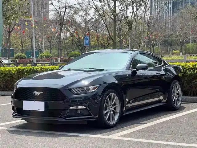 2015 Mustang 2.3T 50th Anniversary Edition
