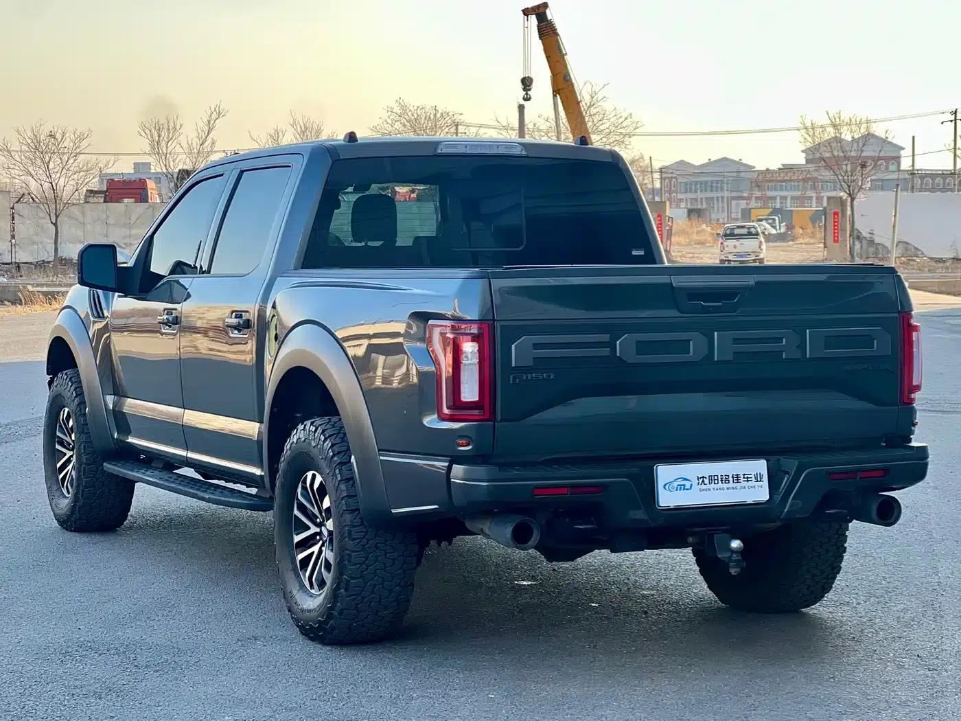 2019 Ford F-150 Raptor 3.5T Raptor Performance Enhanced Edition — миниатюра 12
