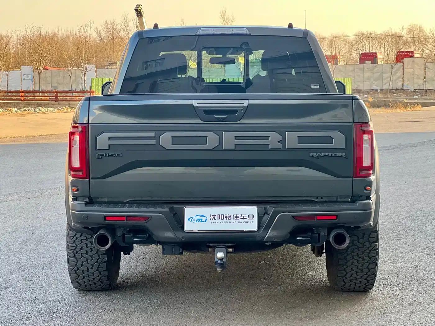 2019 Ford F-150 Raptor 3.5T Raptor Performance Enhanced Edition — миниатюра 13