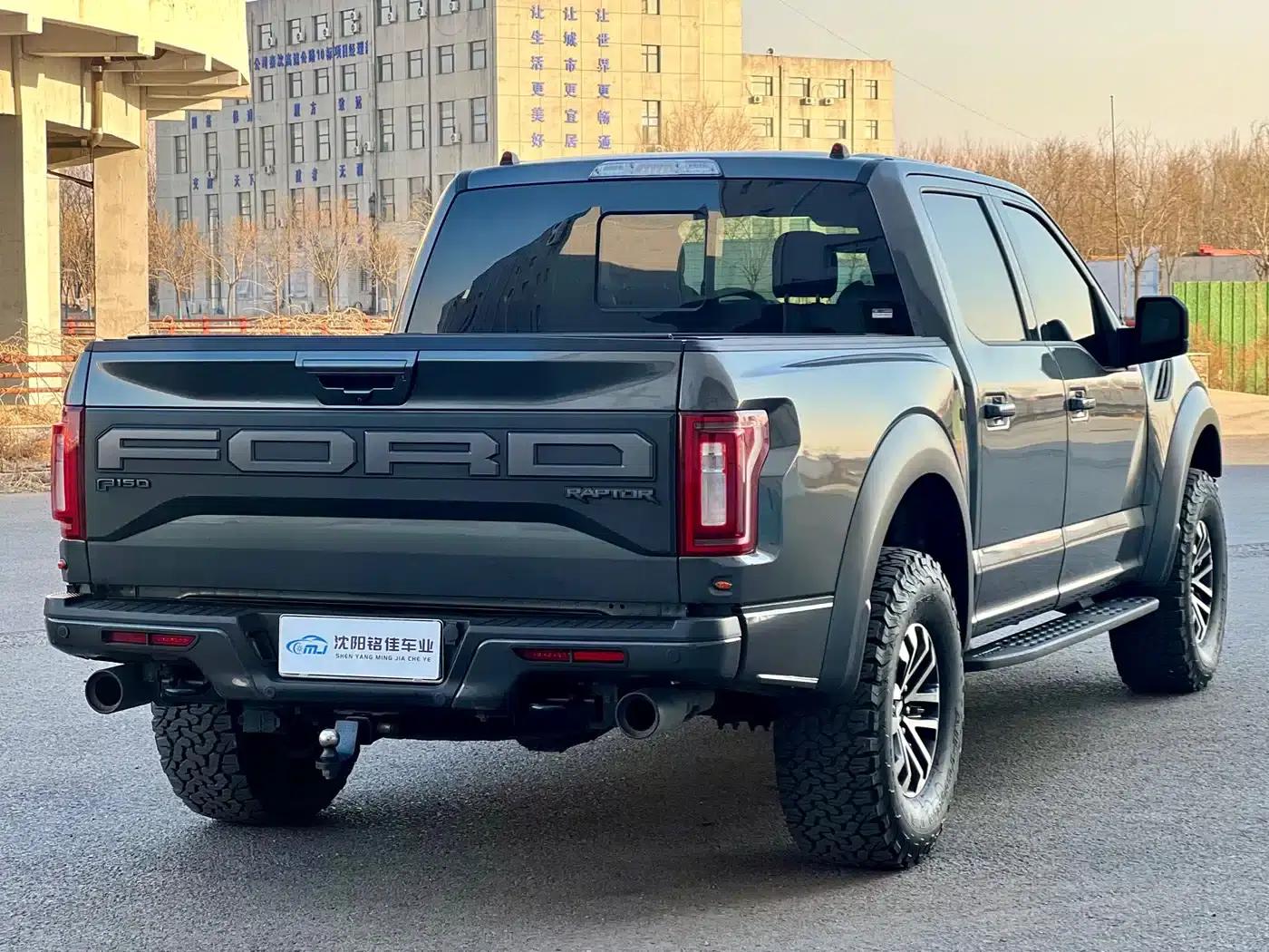 2019 Ford F-150 Raptor 3.5T Raptor Performance Enhanced Edition — миниатюра 14