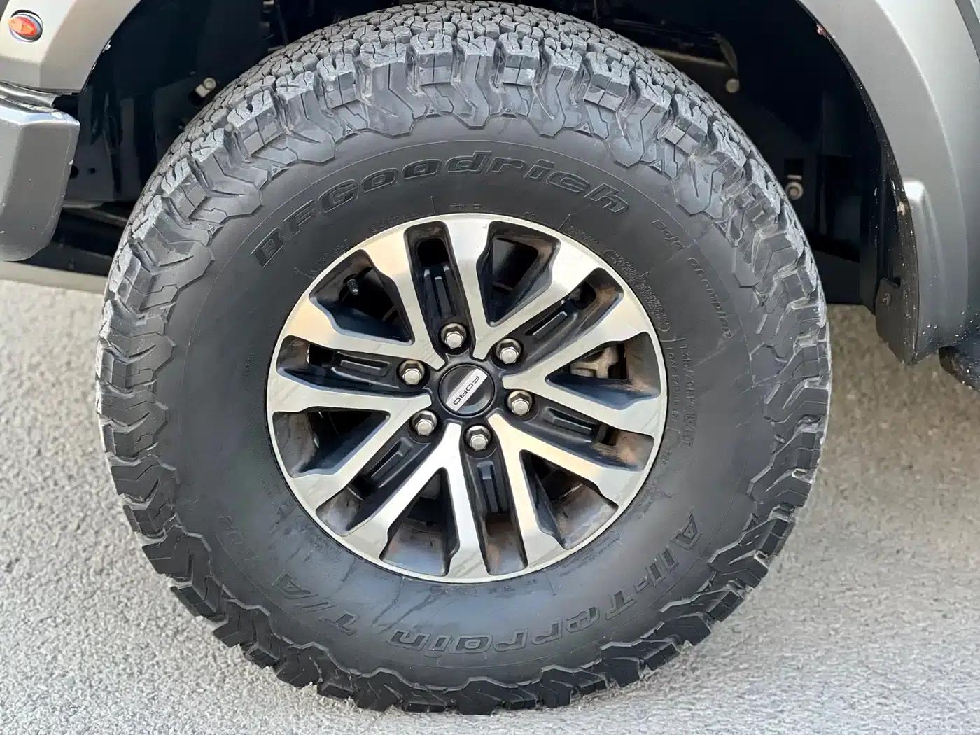 2019 Ford F-150 Raptor 3.5T Raptor Performance Enhanced Edition — миниатюра 5
