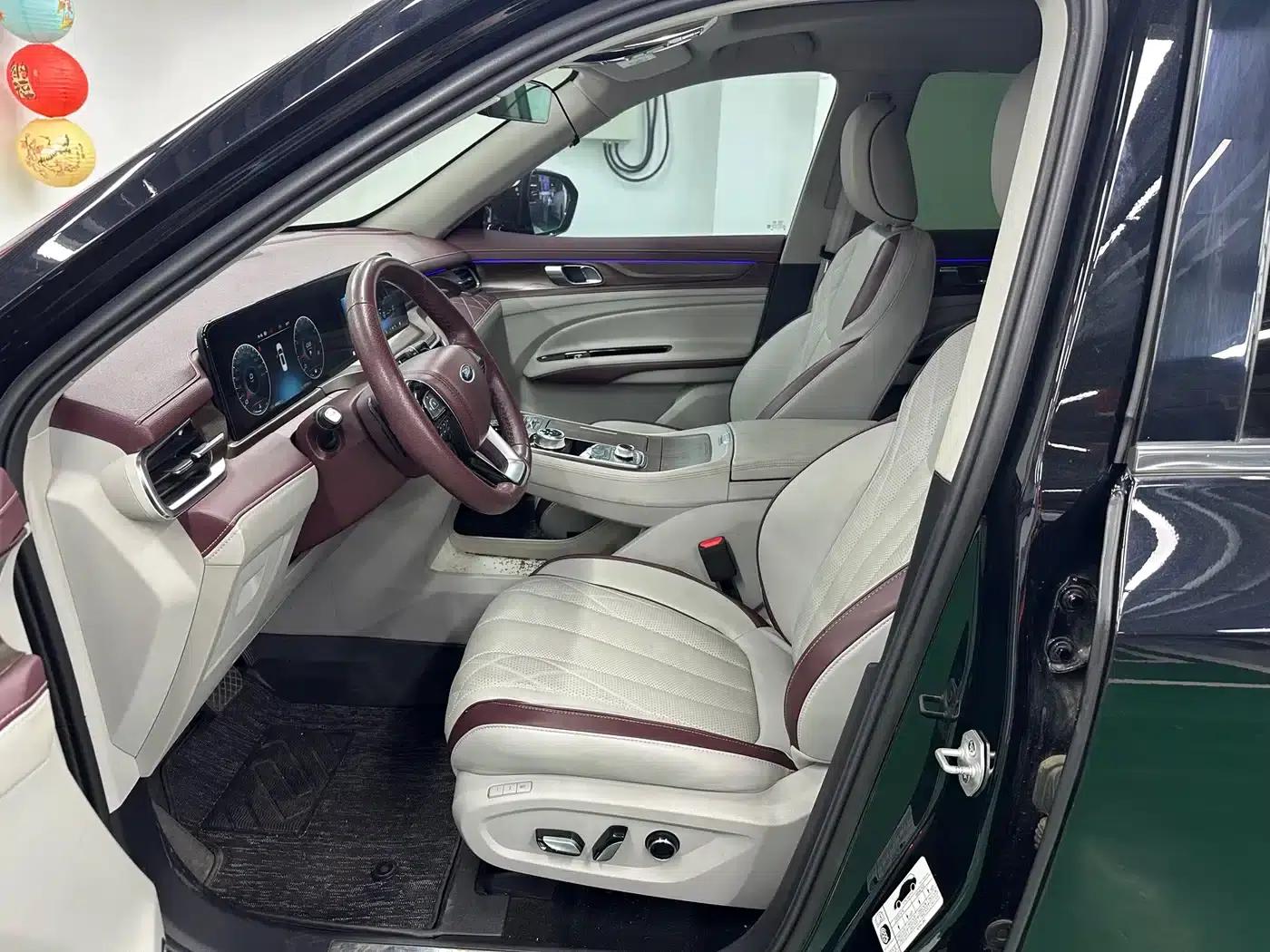 Lingyu 2021 EcoBoost 225 Premium PLUS 6-seater — миниатюра 8