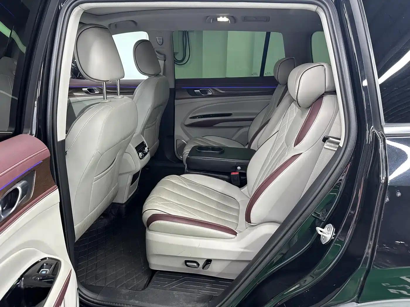 Lingyu 2021 EcoBoost 225 Premium PLUS 6-seater — миниатюра 9