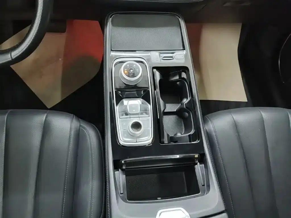 Lingyu 2021 EcoBoost 225 Platinum Edition 6-seater — миниатюра 14