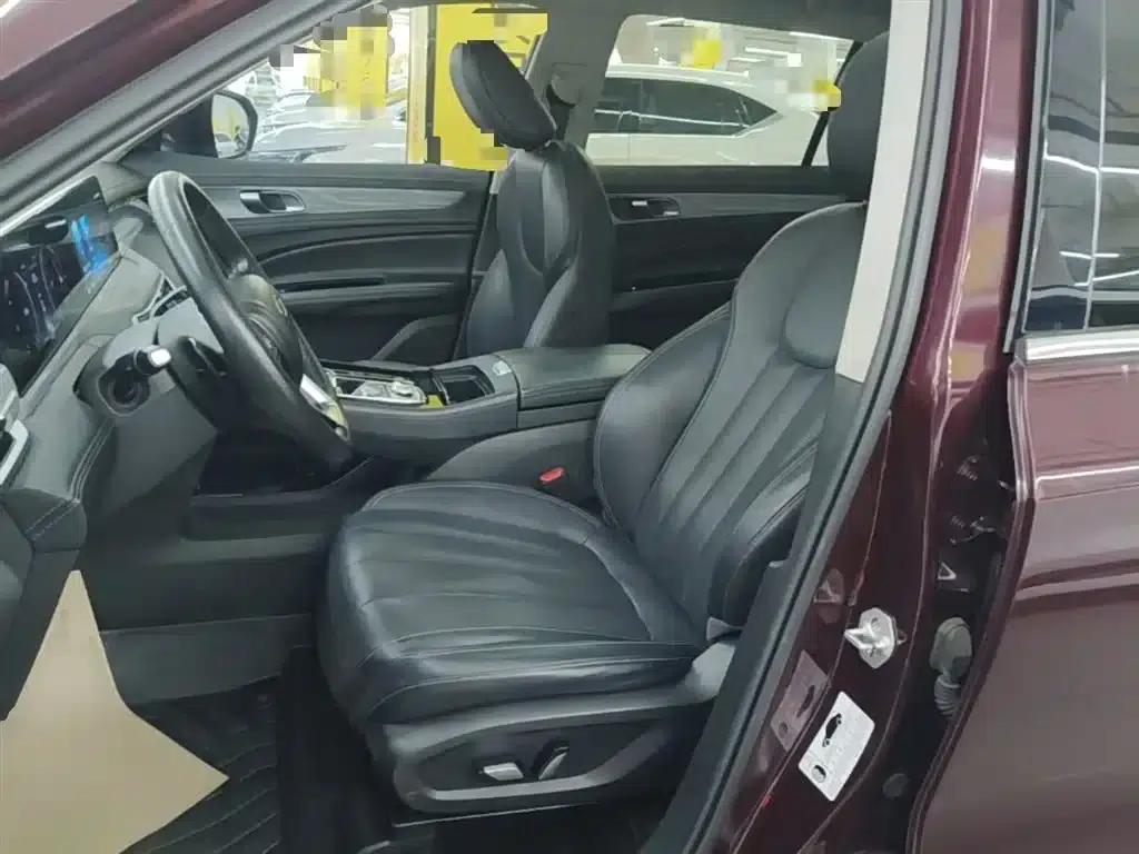 Lingyu 2021 EcoBoost 225 Platinum Edition 6-seater — миниатюра 15
