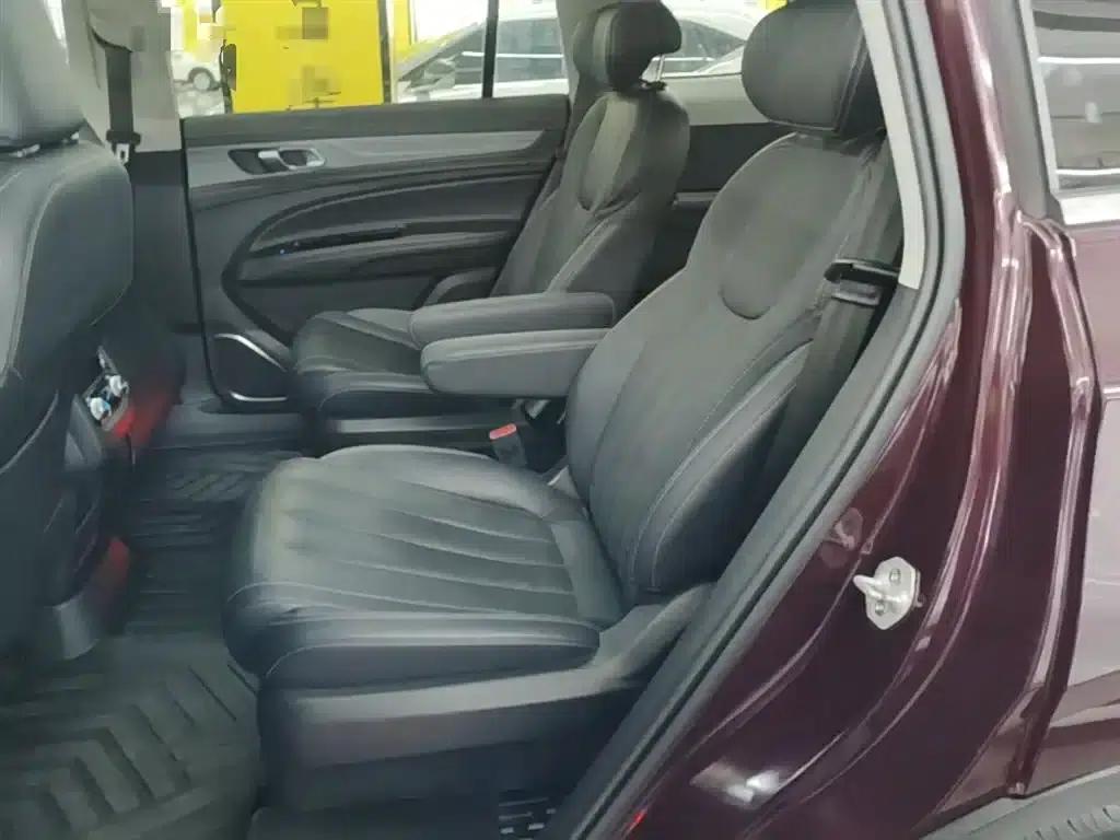 Lingyu 2021 EcoBoost 225 Platinum Edition 6-seater — миниатюра 17