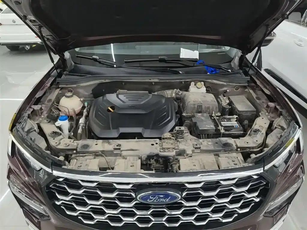 Lingyu 2021 EcoBoost 225 Platinum Edition 6-seater — миниатюра 20