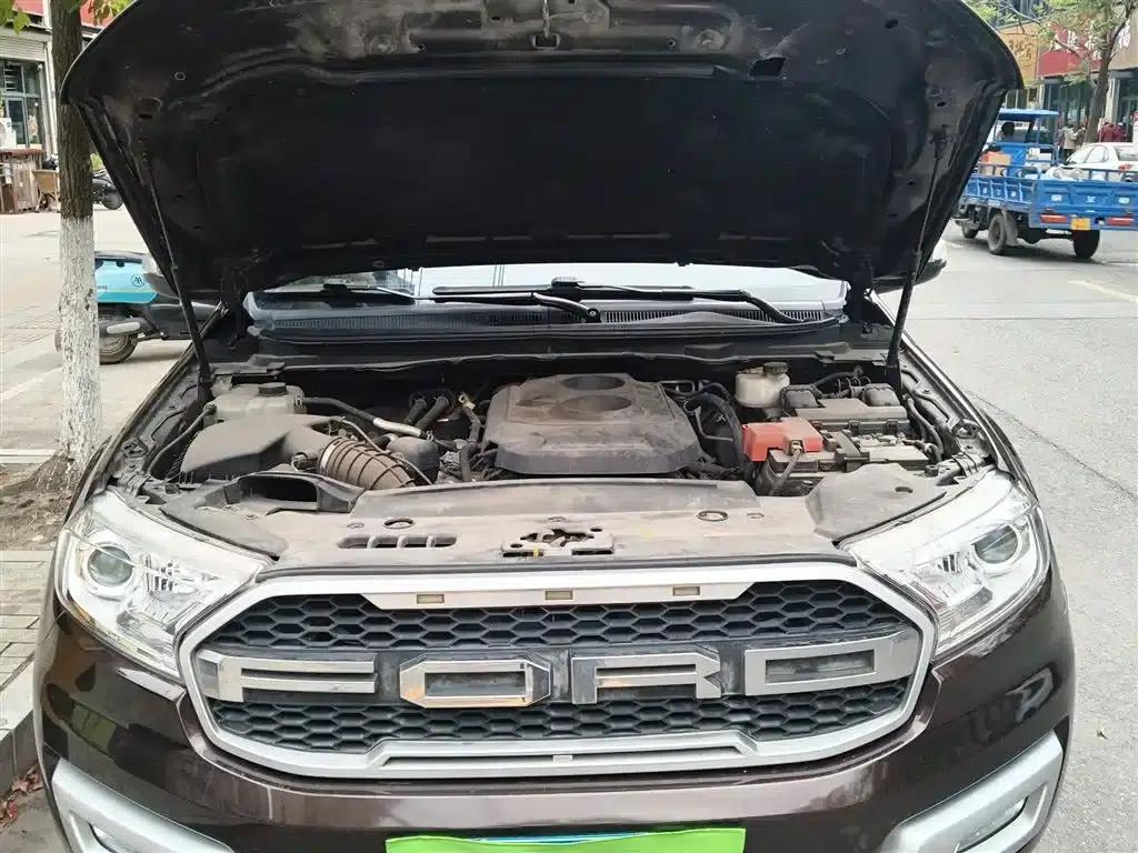 2017 Ford Everest 2.0T Gasoline Automatic 4WD Luxury 7-Seater — миниатюра 11