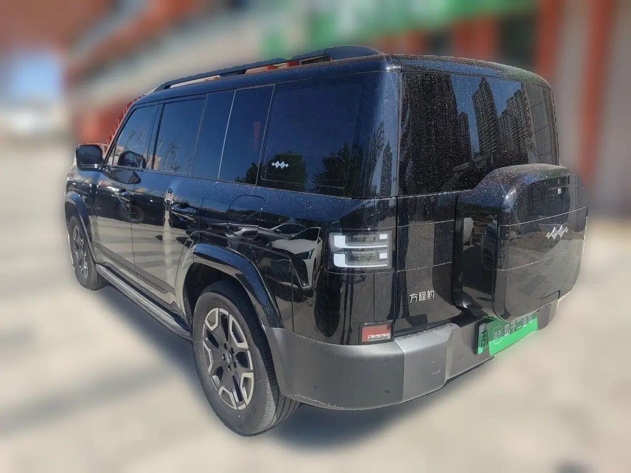 Formula Leopard Tai 7 2025 Model 200 km Two-Wheel Drive Max Edition — миниатюра 4
