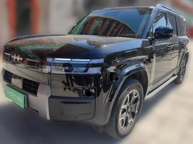 Formula Leopard Tai 7 2025 Model 200 km Two-Wheel Drive Max Edition