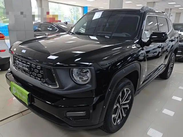 Haval H Dog 2023 1.5T Two-Wheel Drive Chao Ye Version Plus